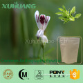 Manufacturer pure common andrographis/common andrographis powder